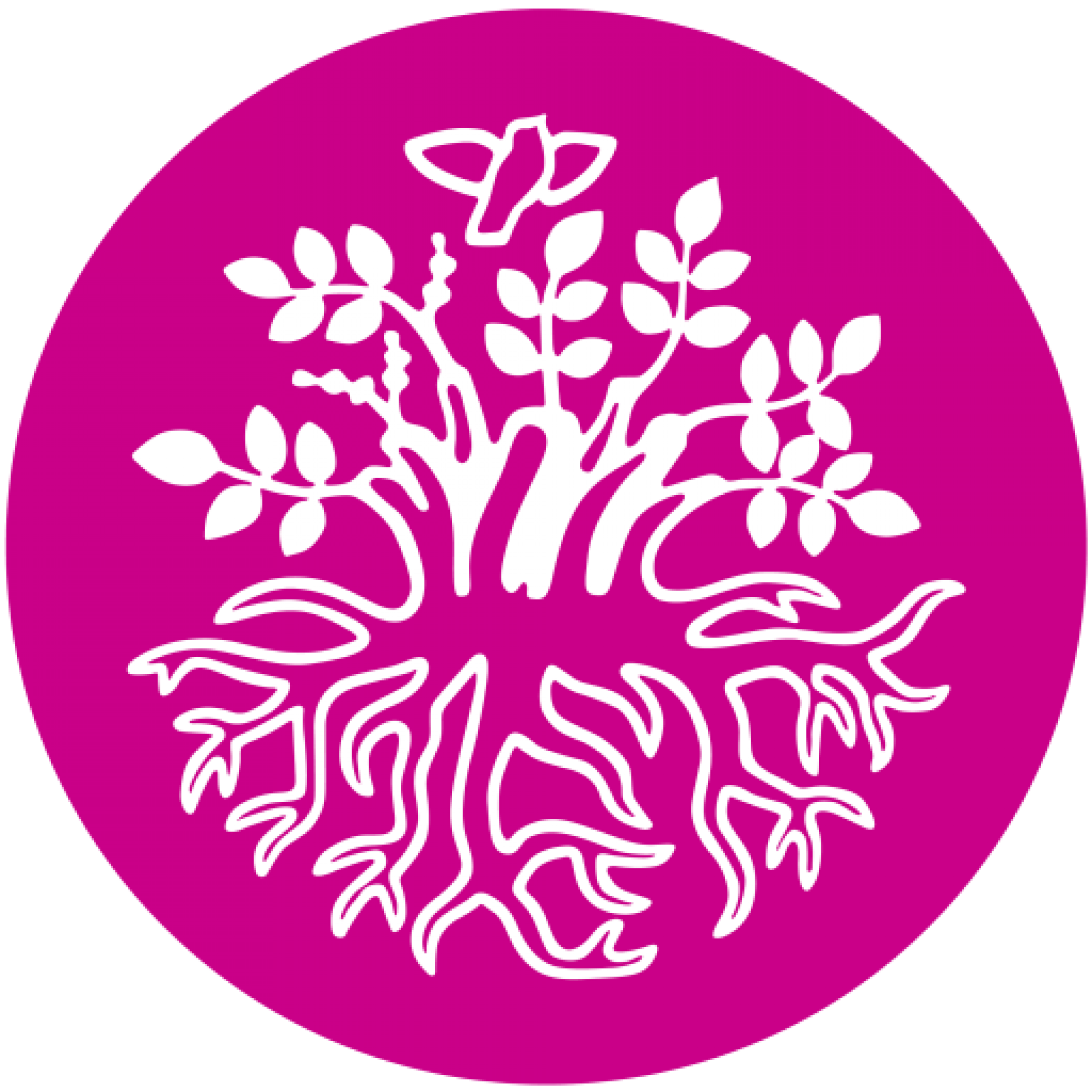 En weekend, to sprog, mange oplevelser