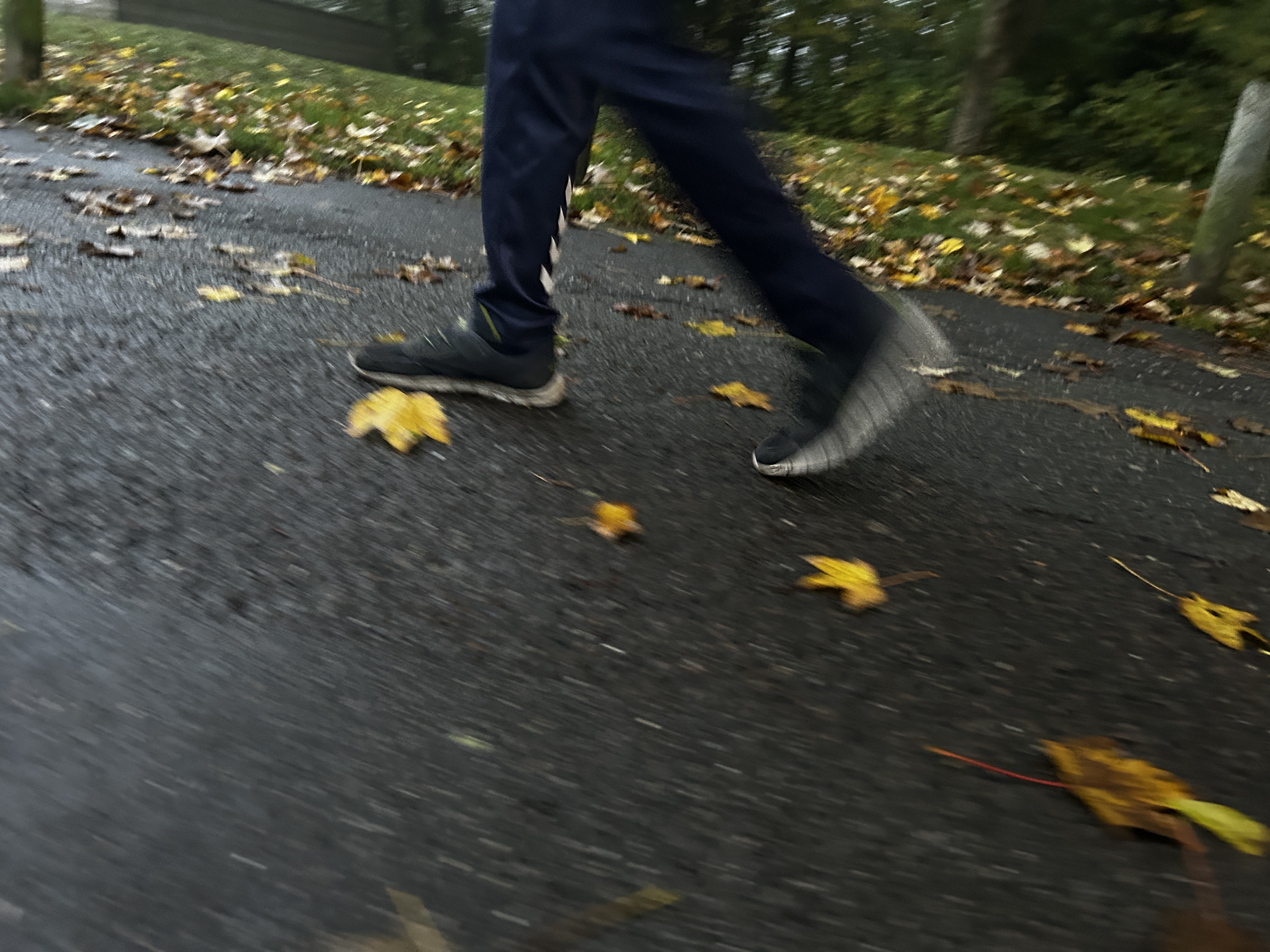 Motionsdagen er lagt i elevhænder