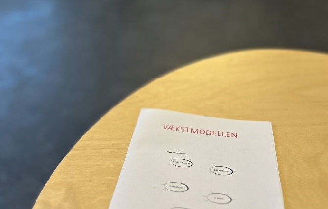 VM i ledelse: Værktøj, der virker